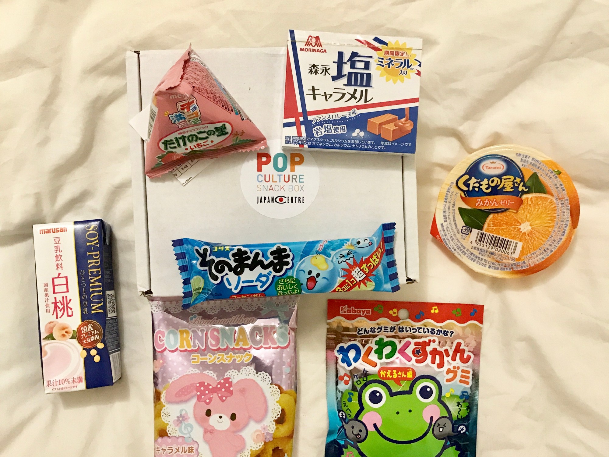 January MINI Subscription Box