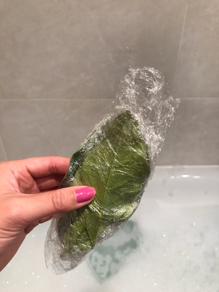 Defrosted Pomelo Leaves