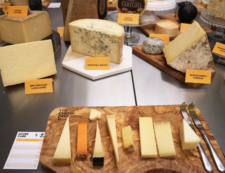 Blocks of cheese everywhere